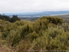 DSC03956_DxO