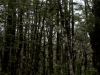 DSC03960_DxO