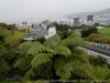 DSC03977_DxO