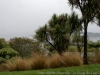 DSC03980_DxO