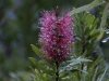 DSC3992_DxO