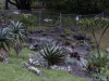 DSC4005_DxO