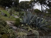 DSC4006_DxO