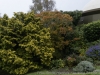 DSC4008_DxO