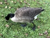 20171103_image_01