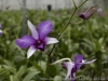 _DSC5758_DxO