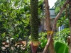 IMG_20170714_125241_DxO