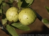 _DSC5415_DxO