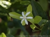 _DSC5436_DxO
