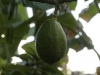 _DSC5474_DxO
