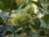 _DSC5480_DxO