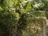 _DSC5510_DxO
