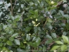 _DSC5555_DxO