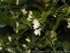 _DSC5561_DxO