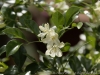 _DSC5565_DxO