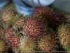 _DSC5602_DxO