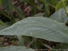 _DSC5619_DxO