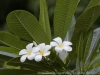 _DSC5624_DxO