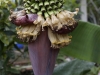 _DSC5626_DxO