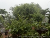 12__DSC5629_DxO