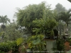 13__DSC5630_DxO