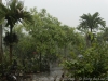 18__DSC5635_DxO