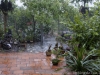21__DSC5636_DxO