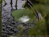 34__DSC5648_DxO