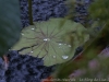 37__DSC5651_DxO