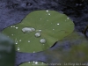 42__DSC5656_DxO