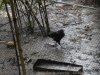 24__DSC5638_DxO
