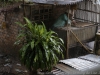 30__DSC5644_DxO