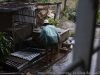33__DSC5647_DxO