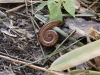 _DSC5670_DxO