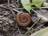 _DSC5671_DxO