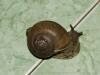 _DSC5713_DxO