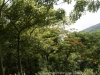 _DSC5727_DxO