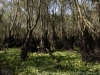 _DSC5804_DxO