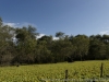 _DSC5808_DxO