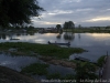 _DSC5831_DxO