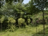 _DSC5901_DxO