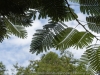 _DSC5908_DxO