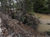 _DSC6101_DxO