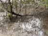 _DSC6108_DxO