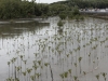 _DSC6130_DxO