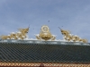 _DSC6183_DxO