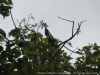 _DSC6319_DxO