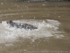 10-_DSC6396_DxO