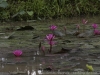 20-_DSC6412_DxO