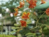 24-_DSC6417_DxO
